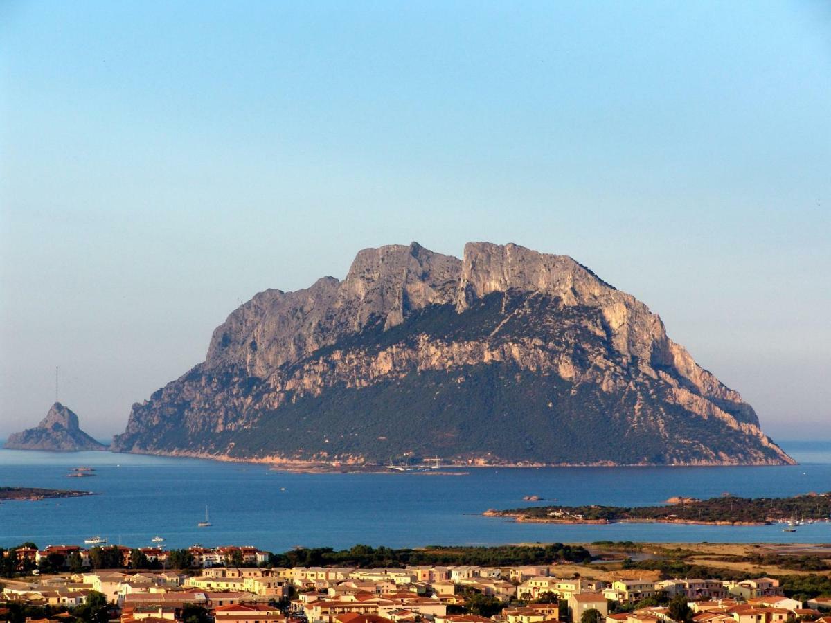 Residence L'Ea Di Lavru - Appartamenti Mono-Bilo-Trilocali Porto San Paolo  Bagian luar foto